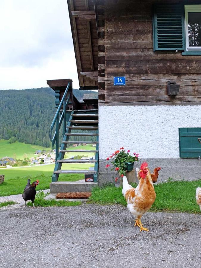 Ferienhaus Asterbach Gosau Exterior photo